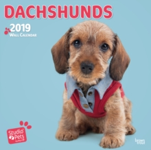 DACHSHUND BY STUDIO P 2019 SQUARE WALL C, Paperback Book DACHSHUND BY STUDIO P 2019 SQUARE WALL C, Paperback Book