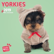 YORKIES BY STUDIO P 2019 SQUARE WALL CAL, Paperback Book YORKIES BY STUDIO P 2019 SQUARE WALL CAL, Paperback Book