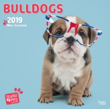 BULLDOGS BY STUDIO P 2019 SQUARE WALL CA, Paperback Book BULLDOGS BY STUDIO P 2019 SQUARE WALL CA, Paperback Book