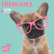FRENCH BULLDOGS BY STUDIO P 2019 SQUARE, Paperback Book FRENCH BULLDOGS BY STUDIO P 2019 SQUARE, Paperback Book
