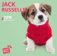 JACK RUSSELLS BY STUDIO P 2019 SQUARE WA, Paperback Book JACK RUSSELLS BY STUDIO P 2019 SQUARE WA, Paperback Book