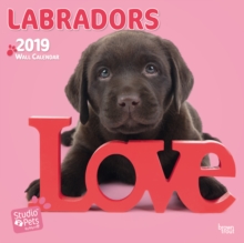 LABS BY STUDIO P 2019 SQUARE WALL CALEND, Paperback Book LABS BY STUDIO P 2019 SQUARE WALL CALEND, Paperback Book