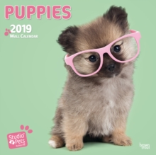 PUPPIES BY STUDIO P 2019 SQUARE WALL CAL, Paperback Book PUPPIES BY STUDIO P 2019 SQUARE WALL CAL, Paperback Book