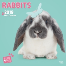 RABBITS BY STUDIO P 2019 SQUARE WALL CAL, Paperback Book RABBITS BY STUDIO P 2019 SQUARE WALL CAL, Paperback Book
