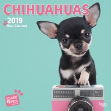 CHIHUAHUAS BY STUDIO P 2019 SQUARE WALL, Paperback Book CHIHUAHUAS BY STUDIO P 2019 SQUARE WALL, Paperback Book
