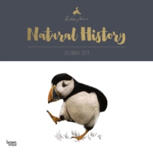 NATURAL HISTORY BY BEN ROTHERY 2019 SQUA, Paperback Book NATURAL HISTORY BY BEN ROTHERY 2019 SQUA, Paperback Book