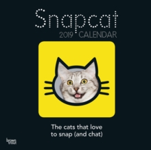 SNAP CAT 2019 SQUARE WALL CALENDAR, Paperback Book SNAP CAT 2019 SQUARE WALL CALENDAR, Paperback Book