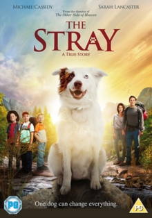 The Stray, DVD DVD The Stray, DVD DVD