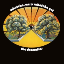 DRAMATICS, The - Whatcha See Is Whatcha Get (reissue) - Vinyl (gatefold LP) - Image 4