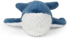 Blue Whale