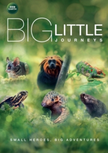 Big Little Journeys