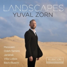 Yuval Zorn: Landscapes