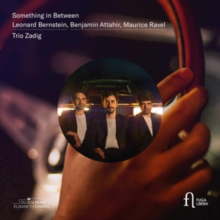 Trio Zadig: Something in Between