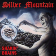 Silver Mountain Shakin' Brains