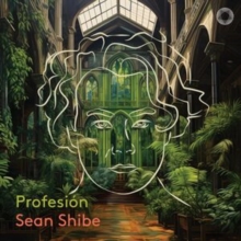 Sean Shibe: Profesin