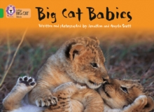 Big Cat Babies : Band 05/Green