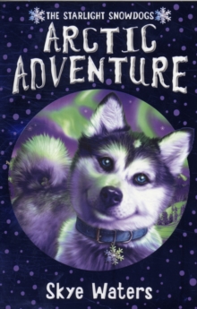 Arctic Adventure, Paperback / softback Book Arctic Adventure, Paperback / softback Book