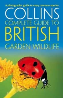British Garden Wildlife : A Photographic Guide to Every Common Species, Paperback / softback Book British Garden Wildlife : A Photographic Guide to Every Common Species, Paperback / softback Book