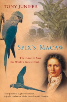 Spix's Macaw : The Race to Save the World's Rarest Bird (Text Only)