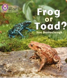 Frog or Toad? : Band 03/Yellow