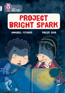 Project Bright Spark : Band 17/Diamond