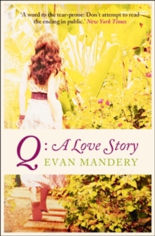 Q: A Love Story, Paperback Book Q: A Love Story, Paperback Book