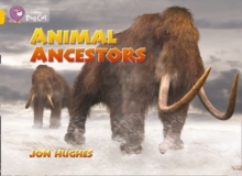 Animal Ancestors Workbook, Paperback / softback Book Animal Ancestors Workbook, Paperback / softback Book