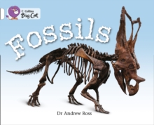 Fossils Workbook, Paperback / softback Book Fossils Workbook, Paperback / softback Book