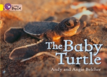 The Baby Turtle, Paperback Book The Baby Turtle, Paperback Book