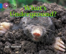 What's Underground, Paperback Book What's Underground, Paperback Book