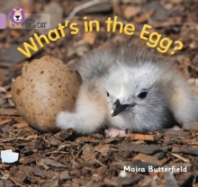 Whats In The Egg? : Band 00/Lilac