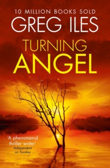 Turning Angel, Paperback / softback Book Turning Angel, Paperback / softback Book