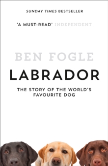 Labrador : The Story of the World's Favourite Dog