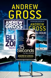 Andrew Gross 3-Book Thriller Collection 2 : 15 Seconds, Killing Hour, the Blue Zone