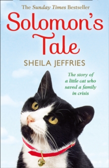 Solomon's Tale, Paperback Book Solomon's Tale, Paperback Book