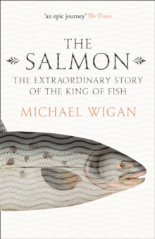 The Salmon : The Extraordinary Story of the King of Fish, Paperback Book The Salmon : The Extraordinary Story of the King of Fish, Paperback Book