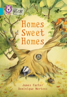 Homes Sweet Homes : Band 07/Turquoise