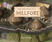 Life and Death in an Iron Age Hill Fort : Band 12/Copper