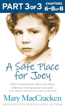 A Safe Place for Joey: Part 3 of 3