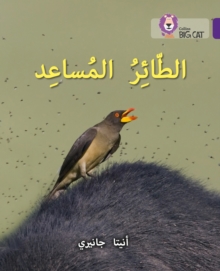 The Helper Bird : Level 8
