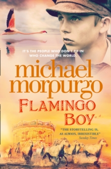 Flamingo Boy, Paperback / softback Book Flamingo Boy, Paperback / softback Book