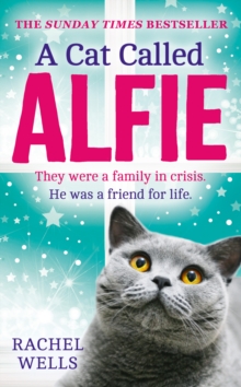 A Cat Called Alfie