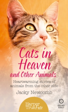 Cats in Heaven : And Other Animals. Heartwarming stories of animals from the other side.