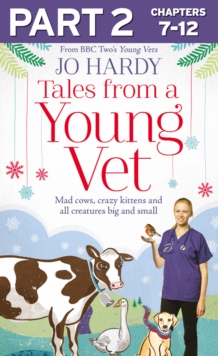 Tales from a Young Vet: Part 2 of 3 : Mad cows, crazy kittens, and all creatures big and small