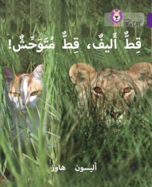 Tame Cat, Wild Cat : Level 8, Paperback / softback Book Tame Cat, Wild Cat : Level 8, Paperback / softback Book