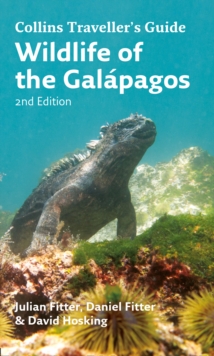 Wildlife of the Galapagos, Paperback / softback Book Wildlife of the Galapagos, Paperback / softback Book