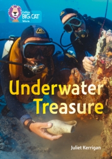 Underwater Treasure : Band 13/Topaz