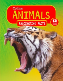 Animals, Paperback / softback Book Animals, Paperback / softback Book