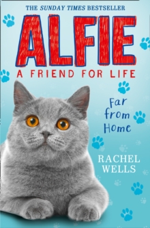 Alfie Far from Home, Paperback Book Alfie Far from Home, Paperback Book