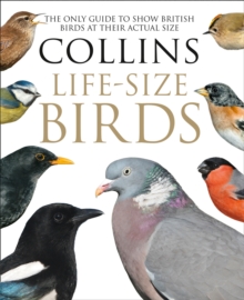 Collins Life-Size Birds : The Only Guide to Show British Birds at Their Actual Size, Hardback Book Collins Life-Size Birds : The Only Guide to Show British Birds at Their Actual Size, Hardback Book